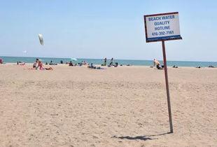 热门话题多伦多海滩,夏日狂欢的热门目的地揭秘