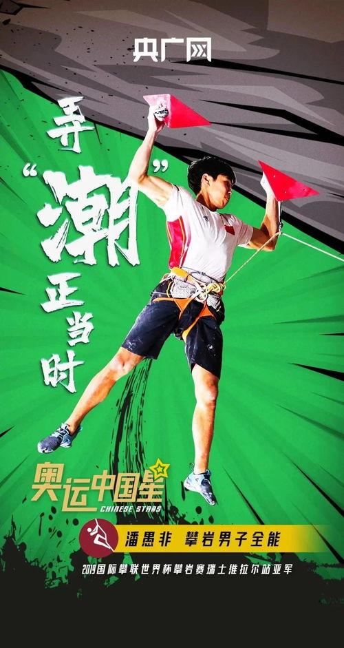 空手道热门话题大全,从技巧到精神，全面解析