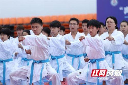 空手道热门话题大全,从技巧到精神，全面解析