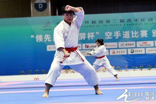 空手道热门话题大全,从技巧到精神，全面解析