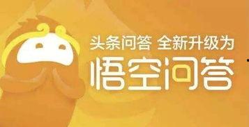 悟空问答热门话题在哪,揭秘当下热议焦点