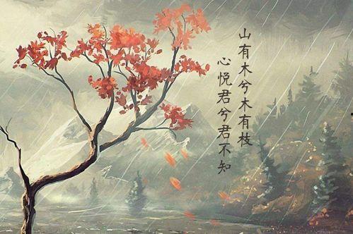 热门话题山有木兮,探寻自然之美与人文情怀