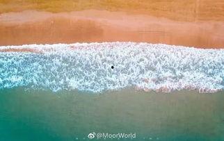 热门话题生活风景图片,热门话题下的生活风景掠影