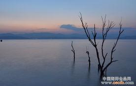 热门话题生活风景图片,热门话题下的生活风景掠影